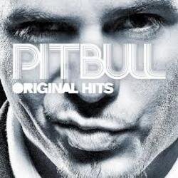Pochette Pitbull - Voodoo