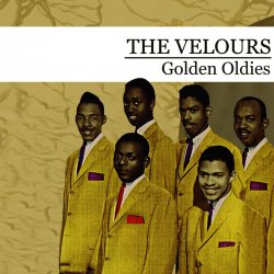Pochette The Velours - What You Do To Me