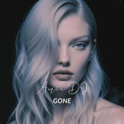 Pochette Amir DJ - Go Away
