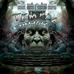 Pochette Abigail Noises x Shabboo Harper - Temple Of Knowledge