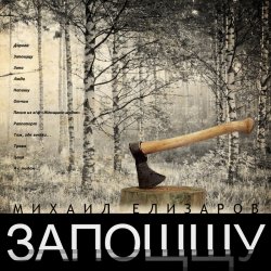 Pochette Михаил Елизаров - Дорога