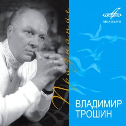 Pochette Владимир Трошин - Новогодняя песня