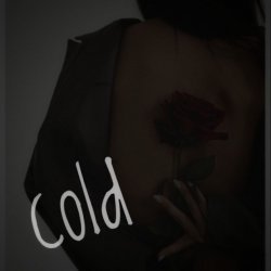 Pochette Dos Ton - Cold