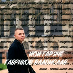 Pochette Гавриков Владислав - ЙОЙ ГАРЯЧЕ