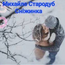Pochette Михайло Стародуб - Сніжинка