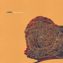 Pochette Calibre - dim light