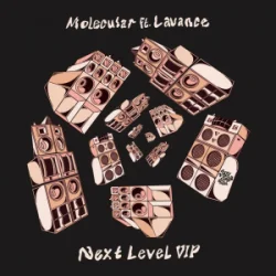 Pochette Molecular & Lavance - Next Level (VIP)