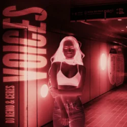 Pochette Dj Remo & CERES - Voices