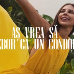Pochette Anda Călugăreanu - Aș vrea să zbor ca un condor (Mentol & Daniel Pavel Remix)