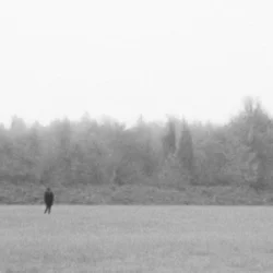 Pochette EKKSTACY - i walk this earth all by myself
