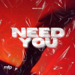 Pochette Brian Zeno - Need You