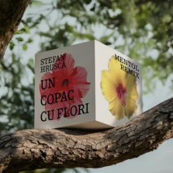 Pochette Stefan Hrusca - Un copac cu flori (Mentol Remix)
