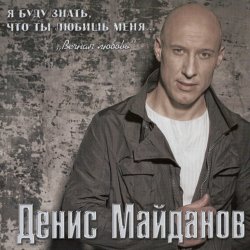 Pochette Денис Майданов - Я хотел бы