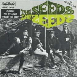 Pochette The Seeds - Can't Seem To Make You Mine