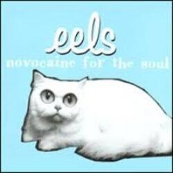 Pochette Eels - Novocaine For the Soul