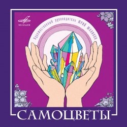 Pochette ВИА САМОЦВЕТЫ - По морозу, по зиме