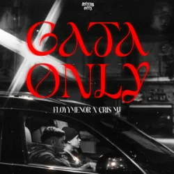 Pochette FleyMianer & Cris MJ - Gata Only