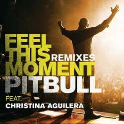 Pochette Pitbull & Christina Aguilera - Feel This Moment (Riddler & Reid Stefan Club Mix)