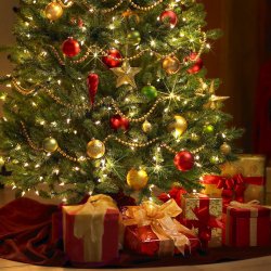 Pochette Acting Lovers - Under the christmas tree