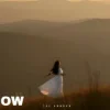Pochette The Shadow - The lesson of love The Shadow - The lesson of love