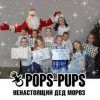 Pochette Pops-Pups - Ненастоящий Дед Мороз Pops-Pups - Ненастоящий Дед Мороз