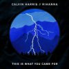 Pochette Calvin Harris feat. Rihanna - This Is What You Came For Calvin Harris feat. Rihanna - This Is What You Came For