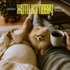 Pochette GROSU & Don Maron - Жити на повну GROSU & Don Maron - Жити на повну