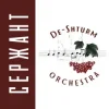 Pochette De-Shturm оrchestra - Ми ДШВ De-Shturm оrchestra - Ми ДШВ