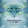Pochette Astrix - Type 1 (Drukverdeler & DJ Bim Remix) Astrix - Type 1 (Drukverdeler & DJ Bim Remix)