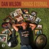 Dan Wilson - Smile Please