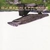 Pochette DJ Sakin & Friends - Protect Your Mind (Braveheart) (Vocal Radio Mix) DJ Sakin & Friends - Protect Your Mind (Braveheart) (Vocal Radio Mix)