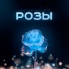 Pochette Тайпан feat. IL'GIZ - Розы Тайпан feat. IL'GIZ - Розы