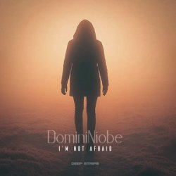 Pochette Lenox Deep - Where the Light Goes Dim (Radio Edit)