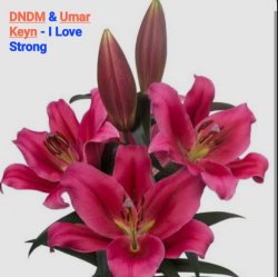 DNDM & Umar Keyn - I Love Strong