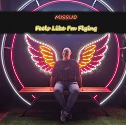 Pochette Missud - What Are You Waiting For