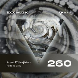 Pochette Anza & DJ Nejtrino - Fade To Grey (Radio Edit)