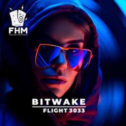 Pochette Bitwake - Flight 3033
