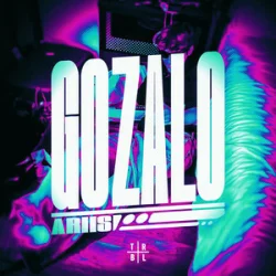 Pochette Ariis - GOZALO (Ultra Slowed)