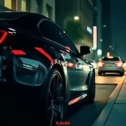 Pochette X ALBO - NOT AFRAID