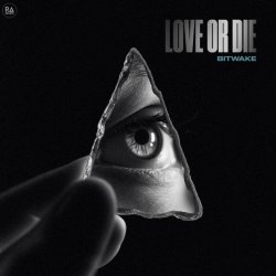 Pochette Bitwake - Love Or Die