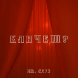 Pochette Mr. Safe - Кличеш?