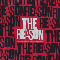 Pochette Steve Aoki & Sound Rush & Hoobastank - The Reason