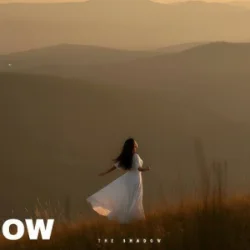 Pochette The Shadow - The lesson of love