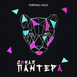 Pochette Тайпан feat. IL'GIZ - Дикая Пантера