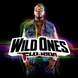Pochette Flo Rida - Good Feeling