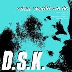 Pochette DSK - What Would We Do (Original Mix)