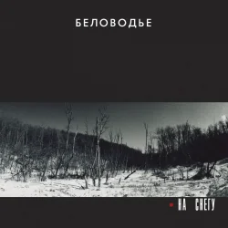 Pochette Беловодье - Куполами