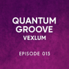 Pochette Vexlum - Quantum Groove 015 Vexlum - Quantum Groove 015