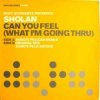 Pochette Matt Schwartz pres. Sholan - Can You Feel Matt Schwartz pres. Sholan - Can You Feel