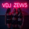 Pochette VDJ ZEWS - Random Feelings VDJ ZEWS - Random Feelings